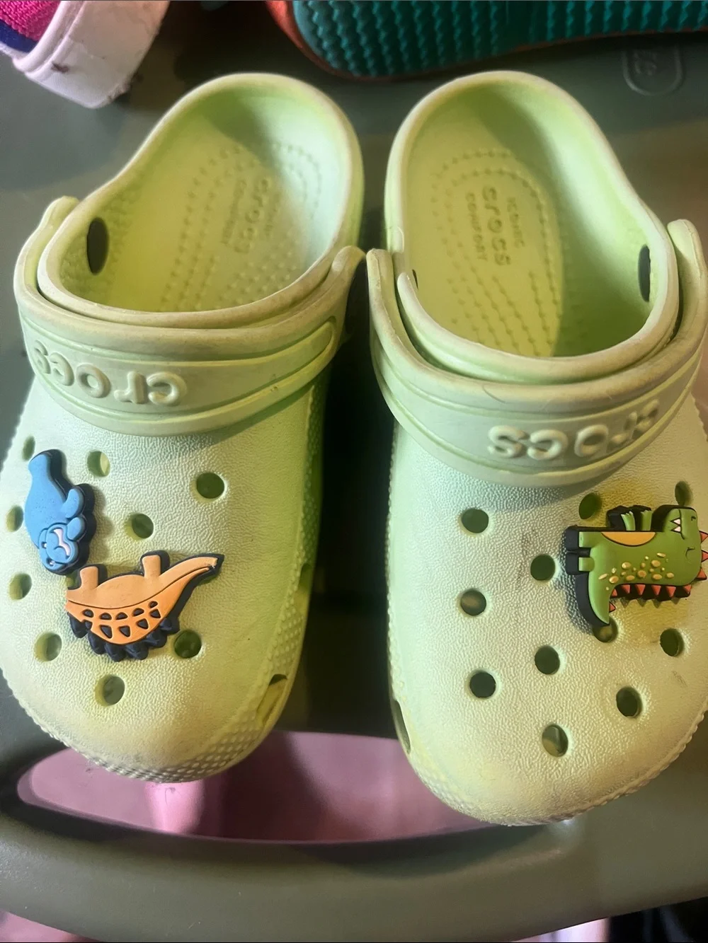CROCS Kids' Light Green Classic Clog with Fun Charms